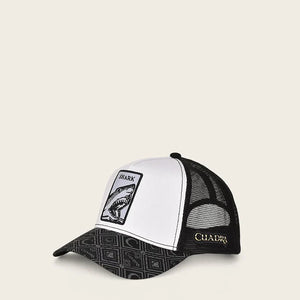 CUADRA GORRA DISENO TIBURON