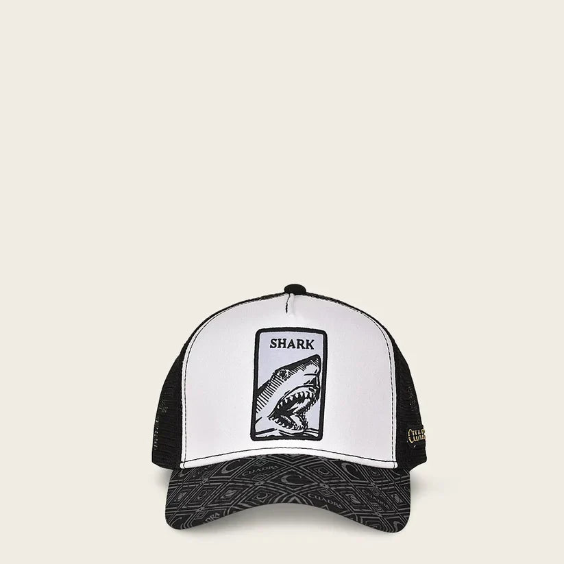 CUADRA GORRA DISENO TIBURON