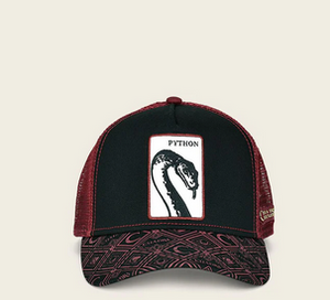 CUADRA GORRA DISENO PYTHON