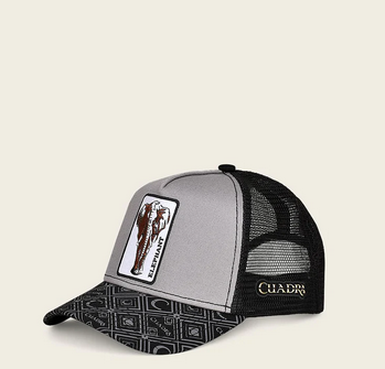 CUADRA GORRA DISENO  ELEFANTE